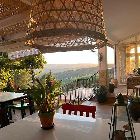 El Nispero Dulce Bed & Breakfast Alcaucin Bagian luar foto