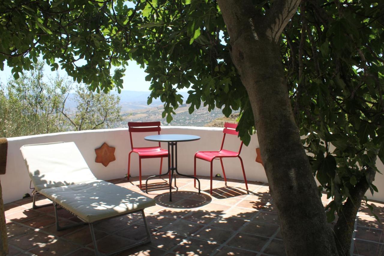 El Nispero Dulce Bed & Breakfast Alcaucin Bagian luar foto
