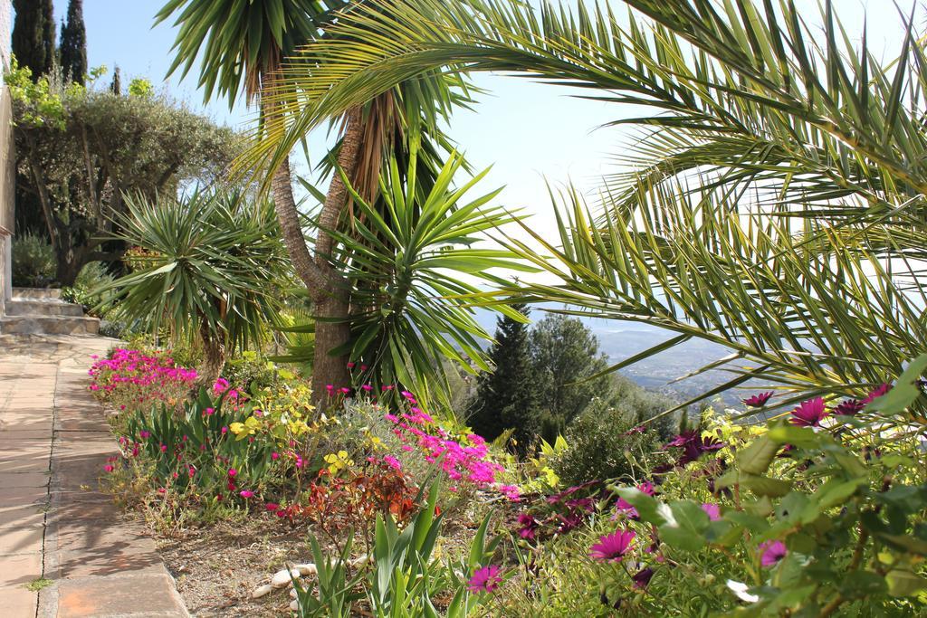 El Nispero Dulce Bed & Breakfast Alcaucin Bagian luar foto