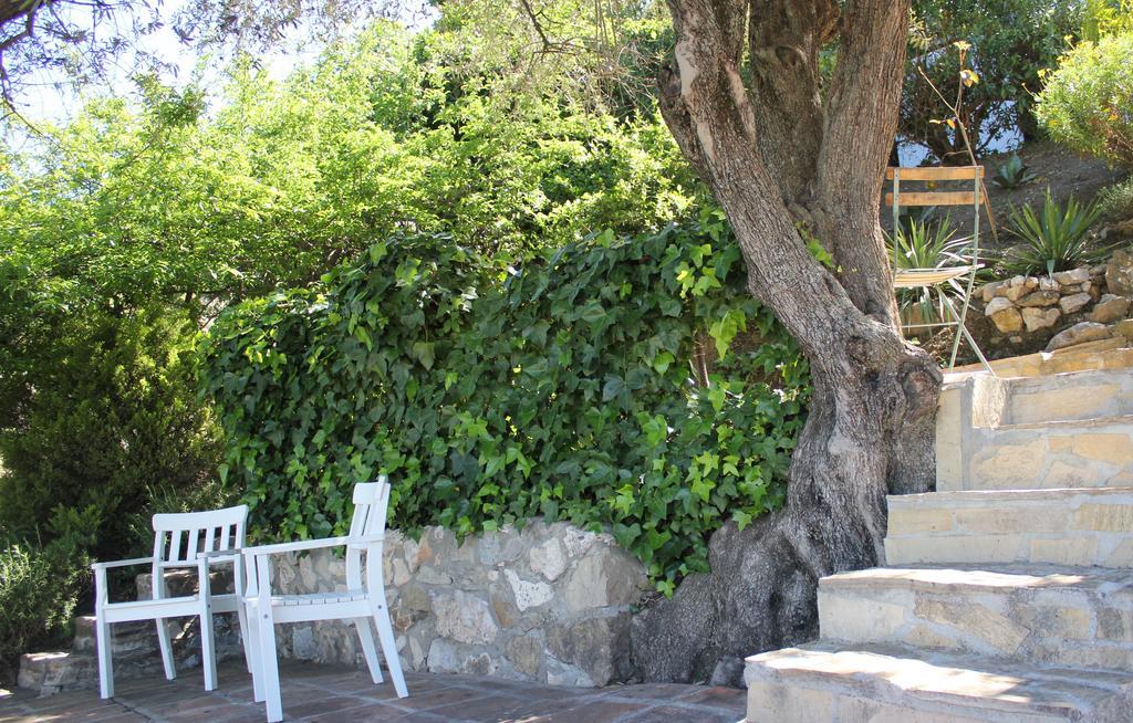 El Nispero Dulce Bed & Breakfast Alcaucin Bagian luar foto